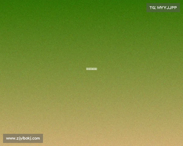 波兰比赛拍视频